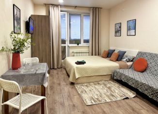 Сдаю в аренду квартиру студию, 31 м2, Самара, проспект Карла Маркса, 4А