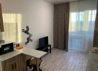 Сдаю в аренду квартиру студию, 21 м2, Барнаул, проспект Строителей, 18