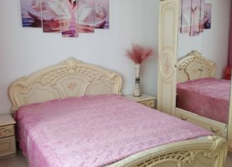 Сдача в аренду 1-комнатной квартиры, 44 м2, Пермь, улица Калинина, 64