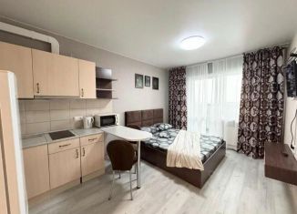 Сдача в аренду однокомнатной квартиры, 20 м2, Барнаул, проспект Строителей, 18