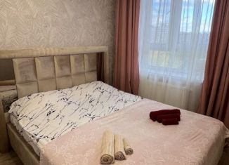 Сдается двухкомнатная квартира, 39.1 м2, Пермь, улица Строителей, 37А