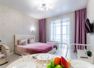 Сдам в аренду квартиру студию, 30 м2, Барнаул, улица Профинтерна, 28А