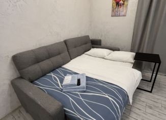 Сдается квартира студия, 28 м2, Барнаул, улица Профинтерна, 28А