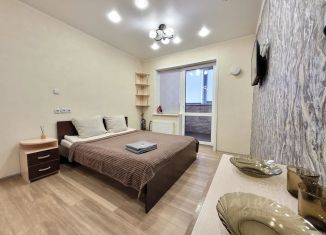 Сдам в аренду квартиру студию, 24 м2, Барнаул, проспект Строителей, 18