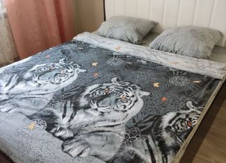 Аренда 2-ком. квартиры, 50 м2, Славгород, 2-й микрорайон, 13