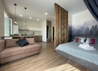 Сдам 1-комнатную квартиру, 30 м2, Барнаул, улица Профинтерна, 28А