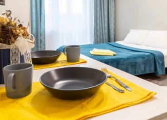 Сдам в аренду квартиру студию, 24 м2, Барнаул, проспект Строителей, 18