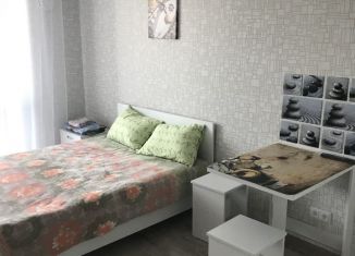 Сдам в аренду 1-ком. квартиру, 27 м2, Барнаул, проспект Строителей, 18