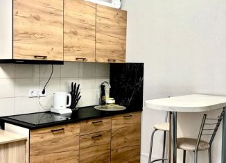 Сдается однокомнатная квартира, 30 м2, Тула, Самоварная улица, 8А