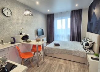 Сдам квартиру студию, 24 м2, Барнаул, проспект Строителей, 18