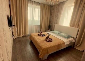 Сдается однокомнатная квартира, 45 м2, Иркутск, улица Касьянова, 4