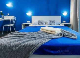 Квартира в аренду студия, 27 м2, Барнаул, проспект Строителей, 18