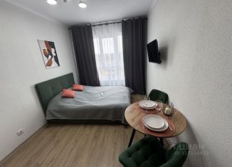 Сдача в аренду квартиры студии, 21.7 м2, Ярославская область