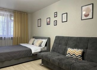Сдается в аренду однокомнатная квартира, 38 м2, Ставрополь, улица Семашко, 14/1