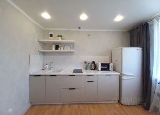 Сдается в аренду 1-комнатная квартира, 23 м2, Белгород, улица Машковцева, 29