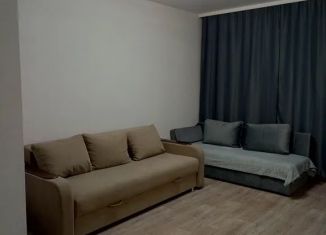 Сдаю в аренду однокомнатную квартиру, 30 м2, Гусь-Хрустальный