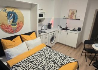Сдача в аренду квартиры студии, 21.3 м2, Ярославль, Заволжский район