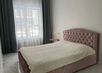 Сдается в аренду однокомнатная квартира, 36 м2, Ставрополь, улица 45-я Параллель, 79/1
