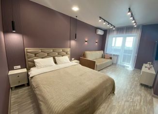 Аренда 1-комнатной квартиры, 42 м2, Тверь, улица Михаила Румянцева, 42