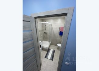 Сдам в аренду 1-комнатную квартиру, 27 м2, Тверь, улица Терещенко, 6к2