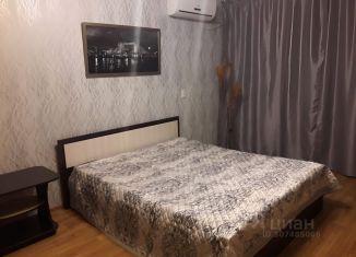 Сдается 1-ком. квартира, 33 м2, Волгоград, улица Маршала Ерёменко, 84, Краснооктябрьский район