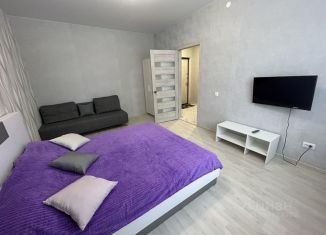 Сдача в аренду 1-ком. квартиры, 34.8 м2, Тверь, бульвар Гусева, 46