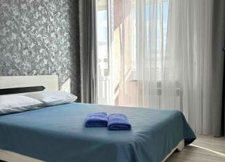 Сдам в аренду 2-ком. квартиру, 45 м2, Чувашия, улица Богдана Хмельницкого, 59