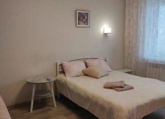 Сдается 1-ком. квартира, 30 м2, Ульяновск, проспект Созидателей, 80
