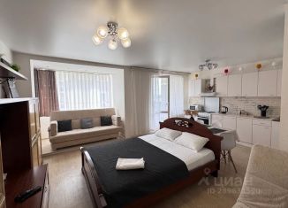 Сдается в аренду квартира студия, 40 м2, Чувашия, улица Пирогова, 1к3