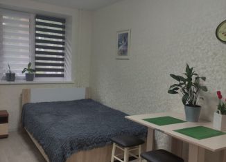 Однокомнатная квартира в аренду, 28 м2, Чувашия, улица Анисимова, 2