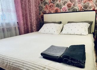 Сдача в аренду однокомнатной квартиры, 31 м2, Орёл, Раздольная улица, 1