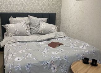 Сдам в аренду 1-комнатную квартиру, 43 м2, Кировская область, Современная улица, 7