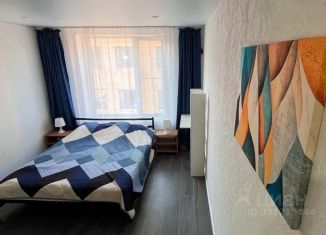 Аренда квартиры студии, 20 м2, Смоленск, проезд Маршала Конева, 32, Промышленный район
