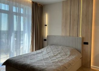 Сдается квартира студия, 28 м2, Оренбург, улица Черепановых, 6