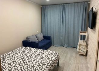 Сдается в аренду 1-ком. квартира, 33 м2, Челябинская область, улица Богдана Хмельницкого, 50