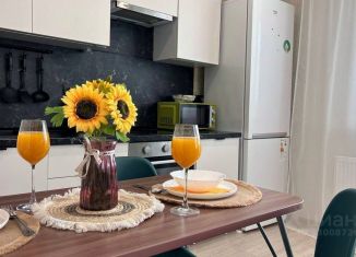 Сдаю квартиру студию, 35 м2, Самара, 4-й проезд, 67, метро Гагаринская