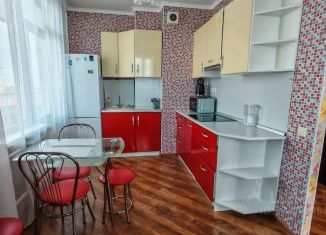 Сдаю в аренду квартиру студию, 30 м2, Псков, улица Рокоссовского, 40А
