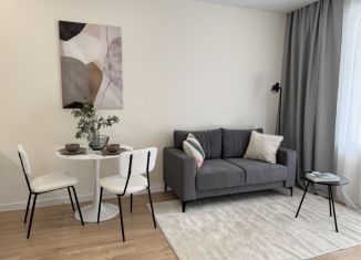 1-ком. квартира в аренду, 40 м2, Самарская область, улица Гая, 22