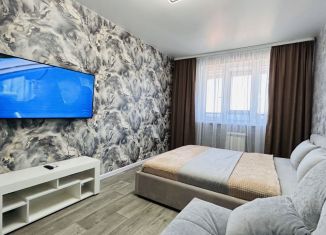 Сдается в аренду 1-комнатная квартира, 43 м2, Самара, проспект Карла Маркса, 244, Советский район