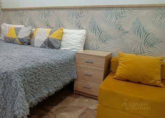 2-ком. квартира в аренду, 45 м2, Воронеж, улица Карла Либкнехта, 35