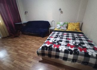 Сдам в аренду 1-комнатную квартиру, 41 м2, Красноярск, улица Александра Матросова, 32