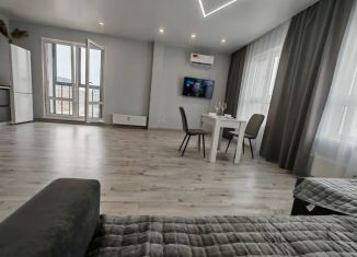 Сдается в аренду однокомнатная квартира, 60 м2, Барнаул, Индустриальный район