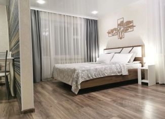 Сдача в аренду 1-комнатной квартиры, 33 м2, Псков, улица Калинина, 12