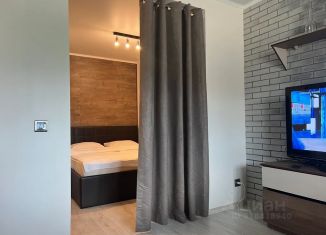 Сдаю квартиру студию, 34 м2, Псков, улица Труда, 56