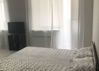 Сдача в аренду 1-ком. квартиры, 45 м2, Самарская область, 5-я просека, 133