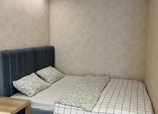 Сдается 1-комнатная квартира, 35 м2, Коми, проспект Ленина, 53