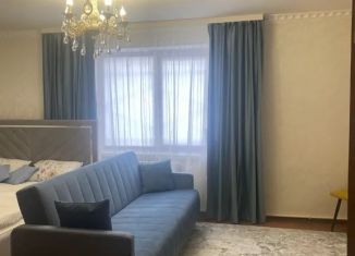 Сдается 1-ком. квартира, 41 м2, село Эльбрус, улица Гагиш, 2