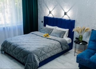 Аренда однокомнатной квартиры, 32 м2, Челябинск, улица Энгельса, 43А