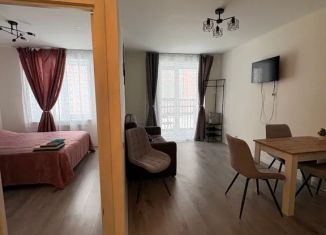 Сдача в аренду 1-комнатной квартиры, 43 м2, Бугры, Тихая улица, 9к5