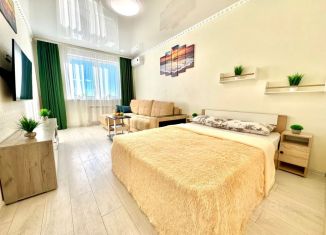 Сдается в аренду 1-комнатная квартира, 47 м2, Самара, проспект Карла Маркса, 196